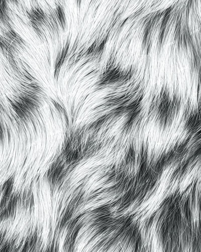 Blue Heeler Dog Fur 42