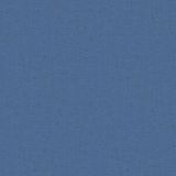 Blue-Stucco-22.jpg
