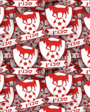 Bnei Sakhnin
