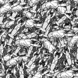 Boiled-Crawfish-23.jpg