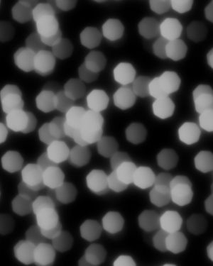Bokeh Grayscale