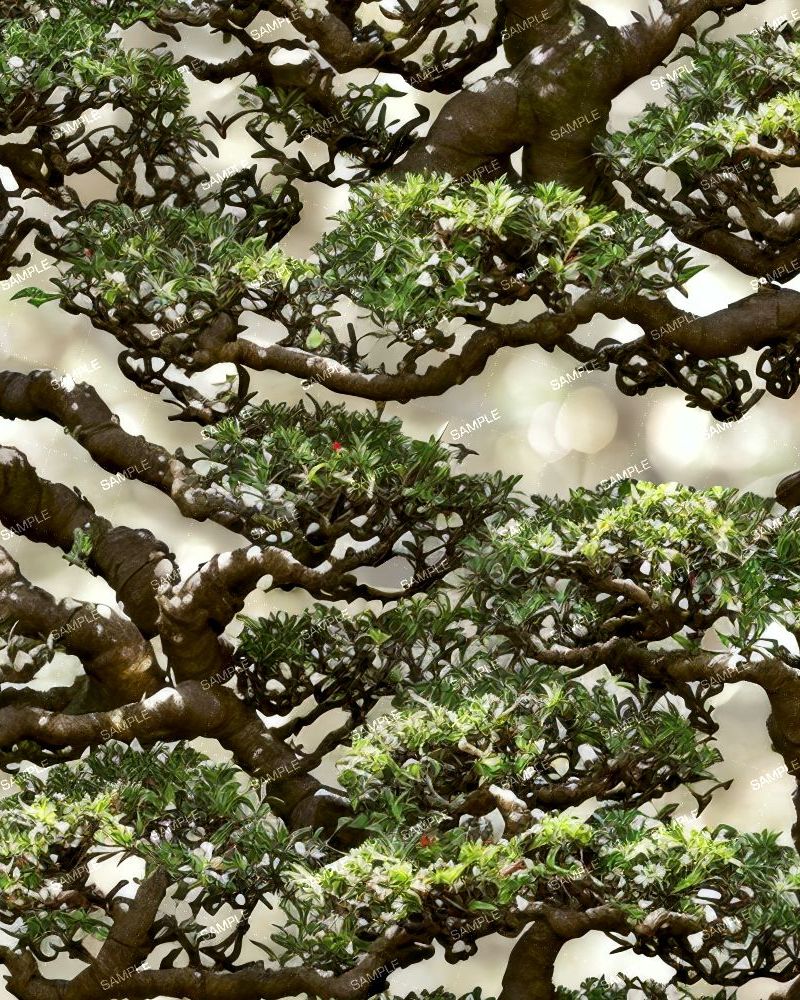 Bonsai Tree 45