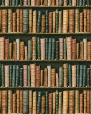 Book Shelf 22