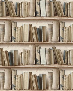 Book Shelf 23
