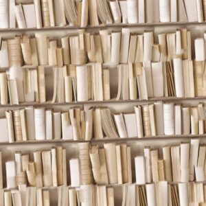 Book Shelf 24