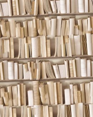 Book Shelf 24