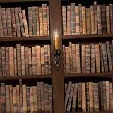BookShelf-25-thumb.jpg