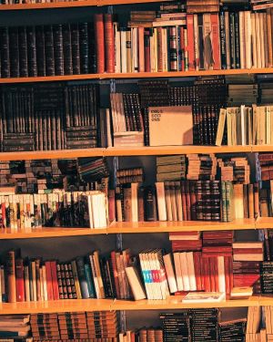 Bookshelf 28