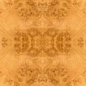 Booked Burl Maple