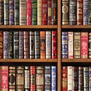 Bookshelf 26