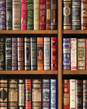 Bookshelf 26