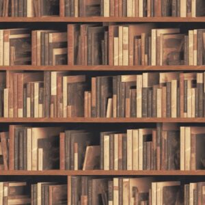 Bookshelf 44