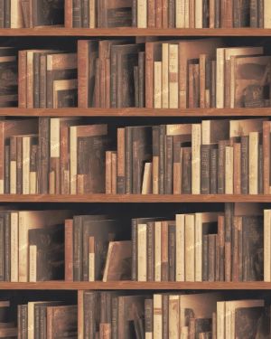 Bookshelf 44