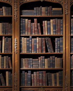 Bookshelf 45