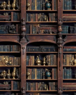 Bookshelf 46