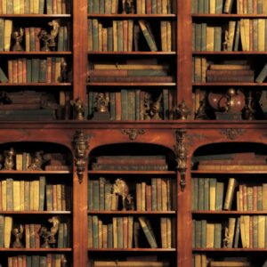 Bookshelf 47