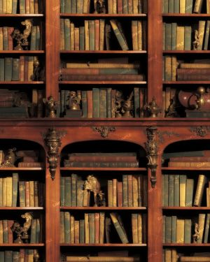 Bookshelf 47