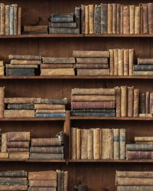 Bookshelf 48
