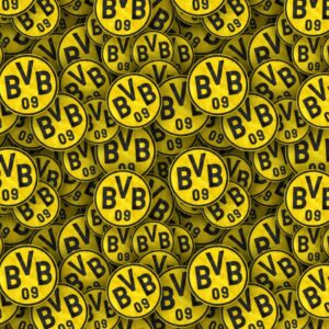 Borussia Dortmund 22