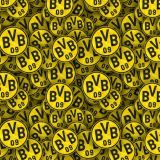 Borussia-Dortmund-22.jpg