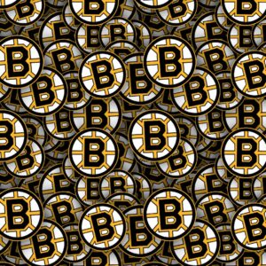 Boston Bruins 22