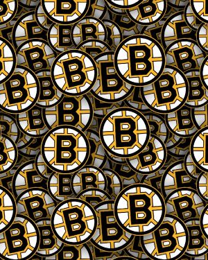 Boston Bruins 22