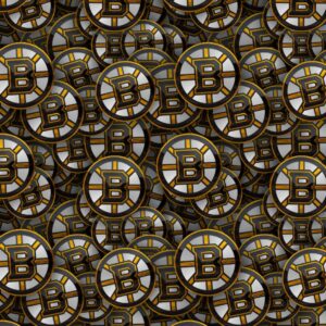 Boston Bruins 23