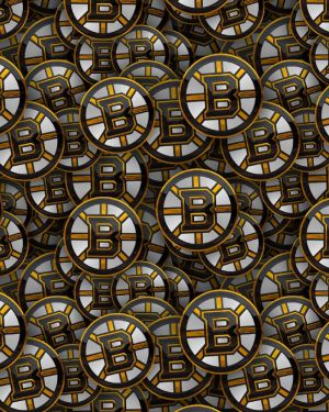 Boston Bruins 23