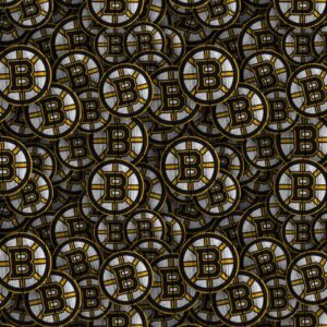 Boston Bruins 24