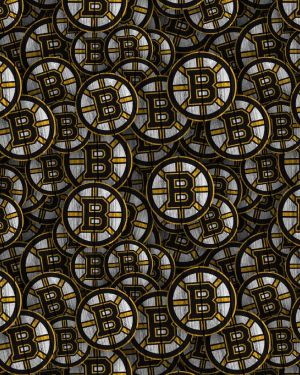 Boston Bruins 24