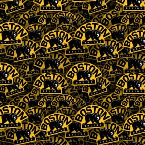 Boston Bruins 25
