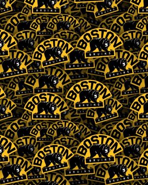 Boston Bruins 25