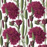 Botanical-Illustration-of-Flowers-43.jpg