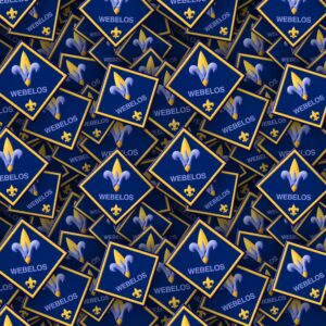 Boy Scouts Badges 22