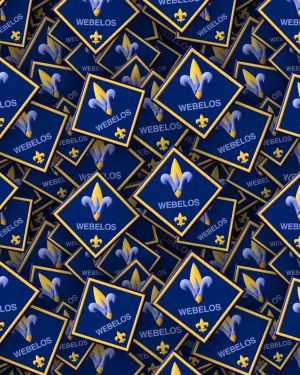 Boy Scouts Badges 22