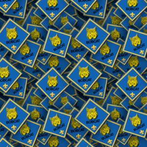 Boy Scouts Badges 23