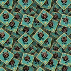 Boy Scouts Badges 24