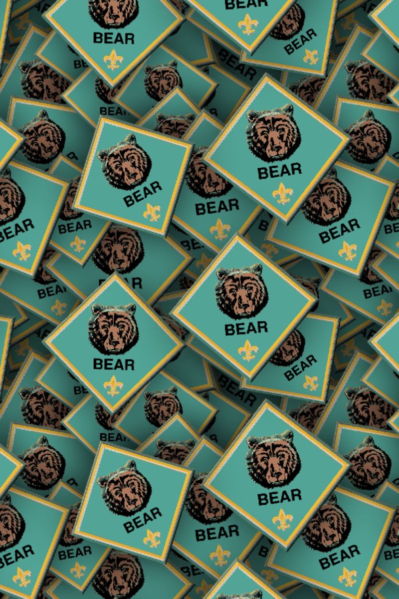 Boy Scouts Badges 24