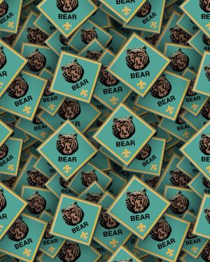Boy Scouts Badges 24