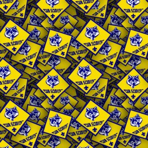 Boy Scouts Badges 25