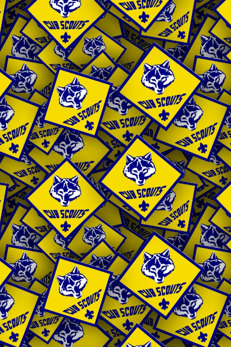 Boy Scouts Badges 25