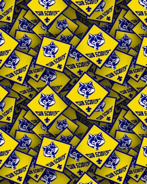 Boy Scouts Badges 25