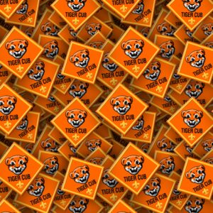Boy Scouts Badges 26