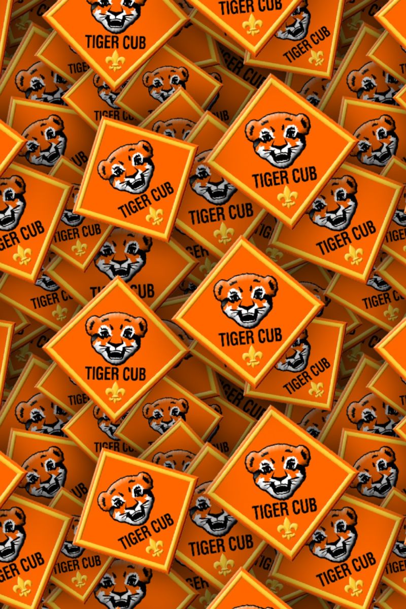 Boy Scouts Badges 26