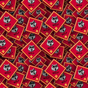 Boy Scouts Badges 27