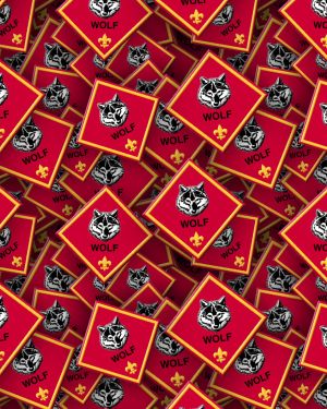 Boy Scouts Badges 27