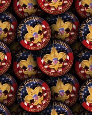 Boy Scouts of America 23