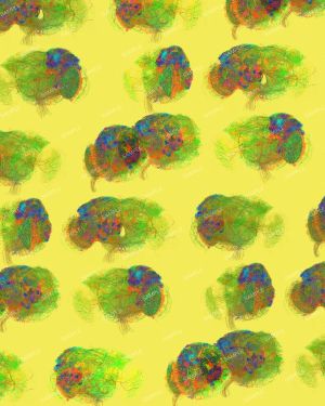 Brain Activity 24