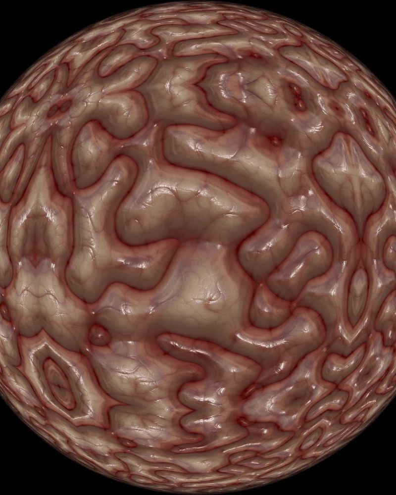 Brain Bucket