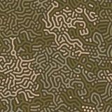 Brain-Maze-Camo-25.jpg